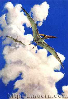 Pteranodon_ingens
