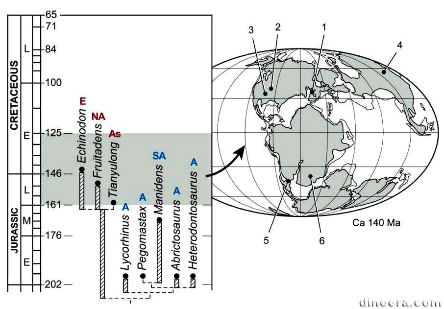 2 Heterodontosauridae 09