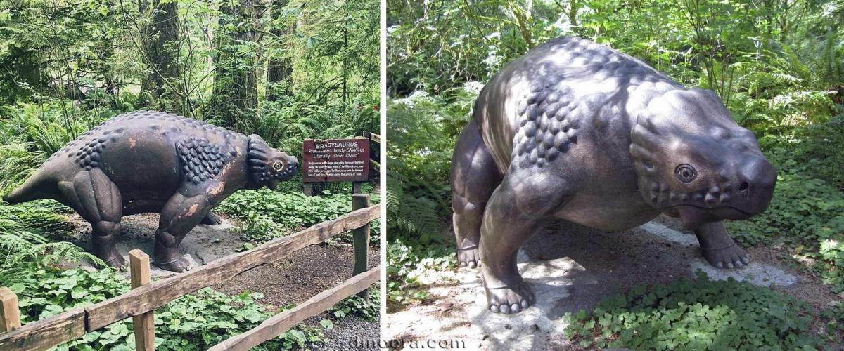 Bradysaurus
