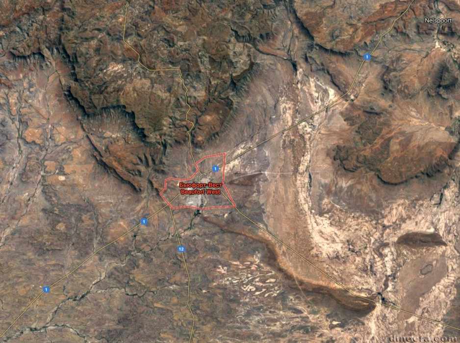 Bradysaurus baini - Beaufort West