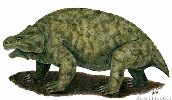 Deltavjatia vjatkensis