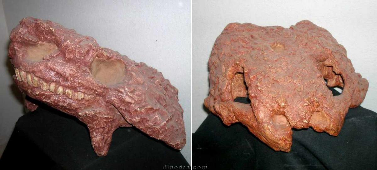 Deltavjatia vjatkensis