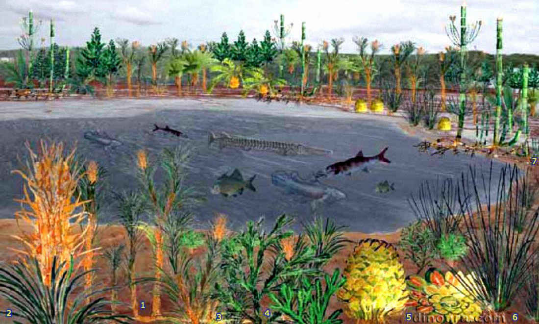 Middle Triasic Flora 02