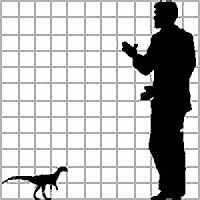 Echinodon becklesii 26 cc