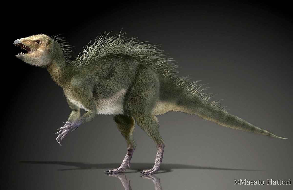 Fruitadens haagarorum 01 cc