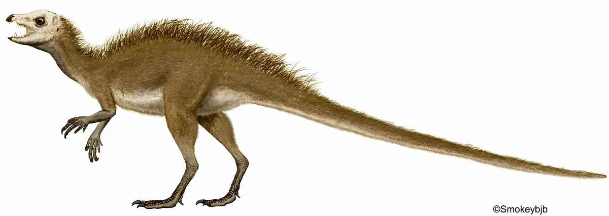 Fruitadens haagarorum 03 by Smokeybjb cc