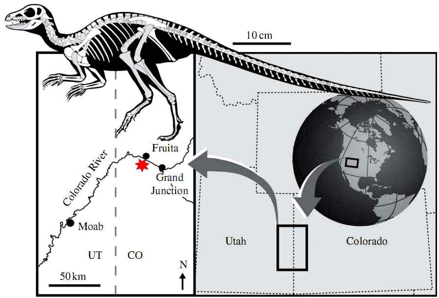 Fruitadens haagarorum 40 cc