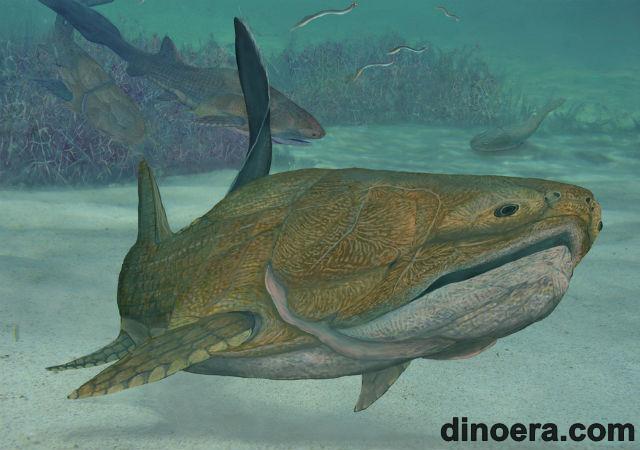 Ископаемая рыба – предок человека?