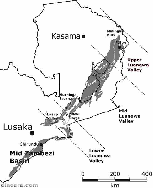 Pareiasuchus nasicornis