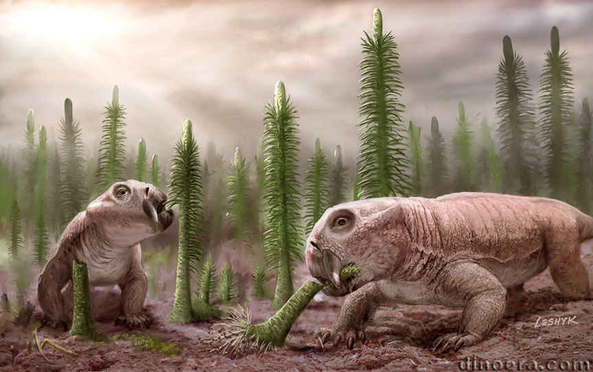Pleuromeia & Lystrosaurus