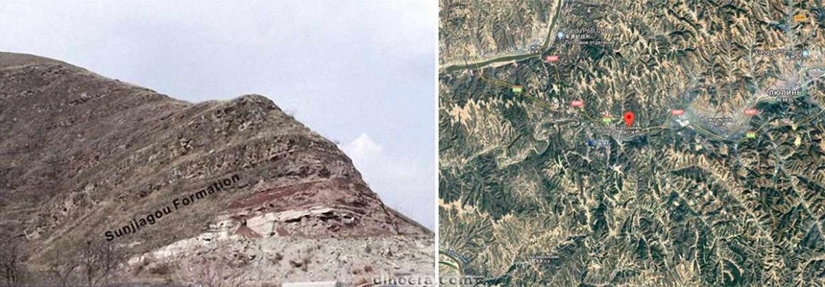 Sanchuansaurus pygmaeus