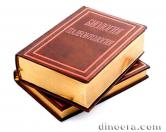 zastavka slovar 02 cc