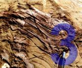 zastavka Palaeoarchaean 3