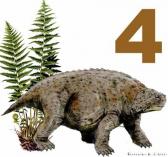 Pareiasuchus nasicornis