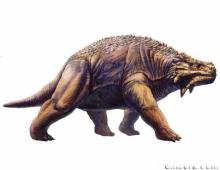 Pareiasauridae