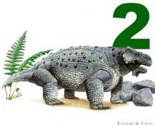 Pareiasaurinae