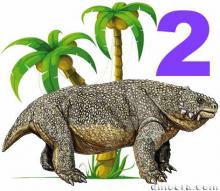 Pareiasuchinae