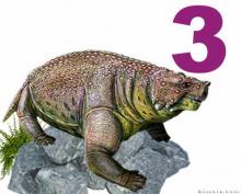 Pareiasuchus