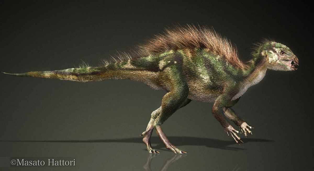 Tianyulong confuciusi 01 cc