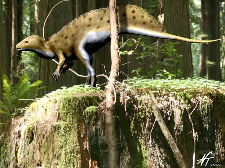 Tianyulong confuciusi 11