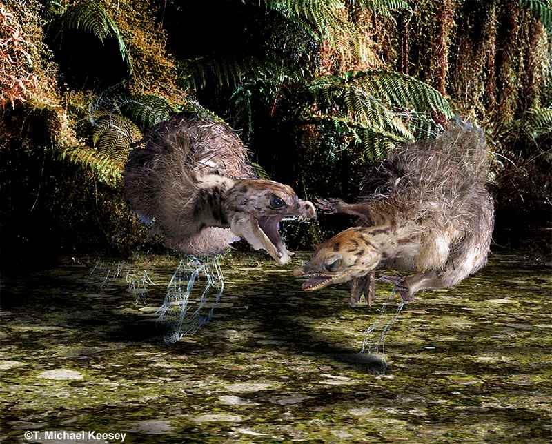 Tianyulong confuciusi 14 cc