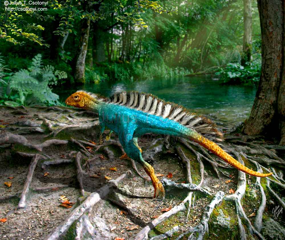 Tianyulong confuciusi 15 by T.Csotonyi cc